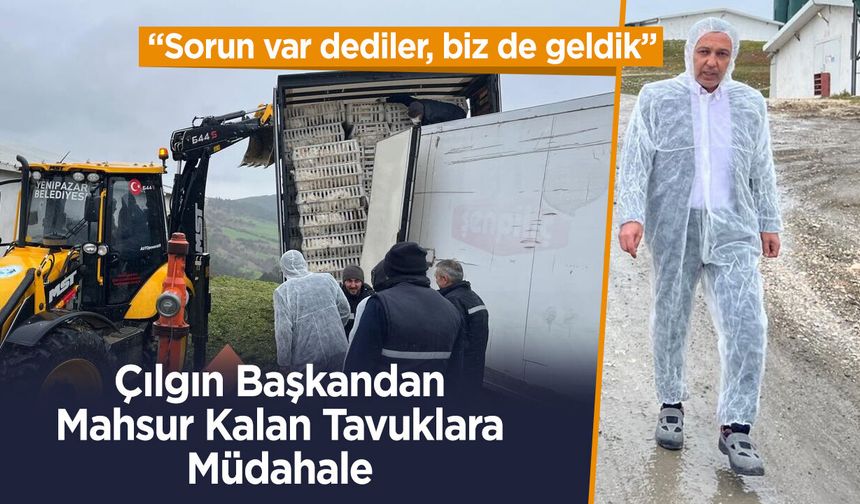 Çılgın Başkandan Mahsur Kalan Tavuklara Müdahale