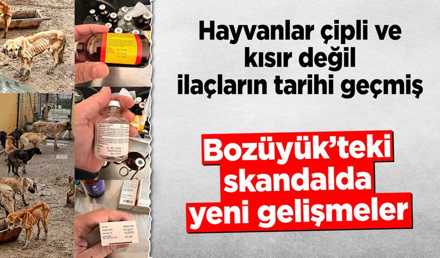 Hayvanlar çipli, kısır değil, ilaçların tarihi geçmiş