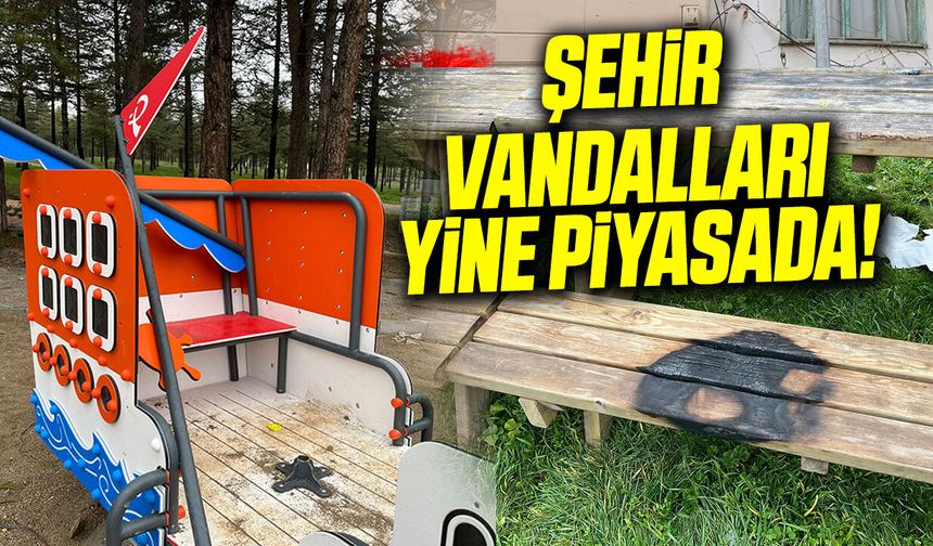 Şehir vandalları yine piyasada!