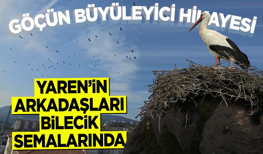 Göçün büyüleyici hikayesi: Yaren'in arkadaşları Bilecik semalarında
