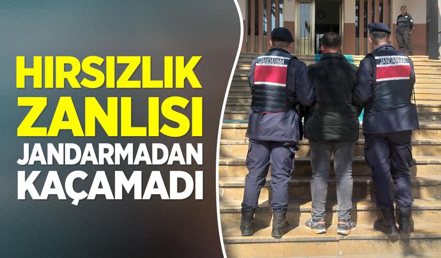 Hırsızlık zanlısı jandarmadan kaçamadı