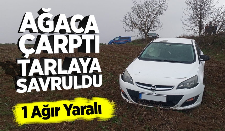 Ağaca çarptı, tarlaya savruldu
