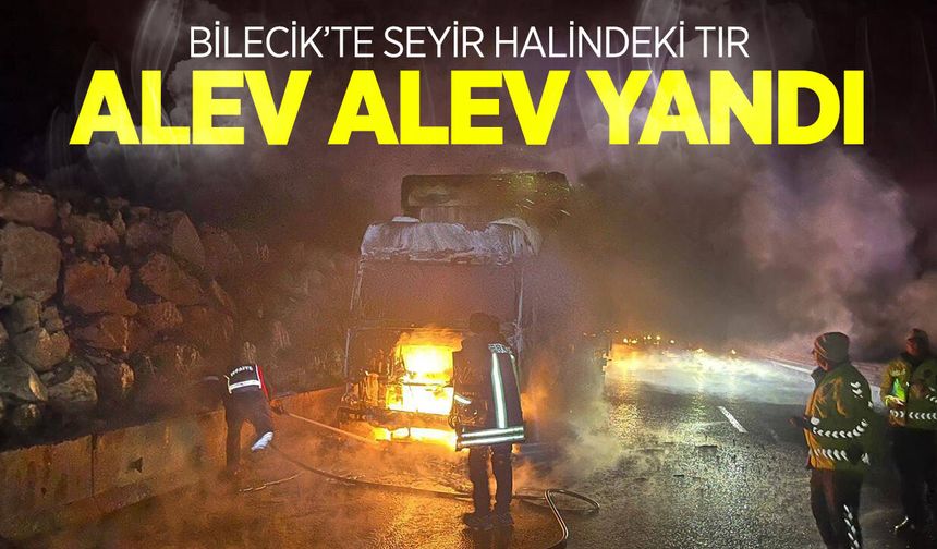 Bilecik’te Seyir Halindeki Tır Alev Alev Yandı