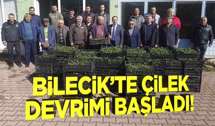 Bilecik'te Çilek Devrimi Başladı!