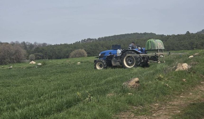 Doğru Beyan Güçlü Tarım