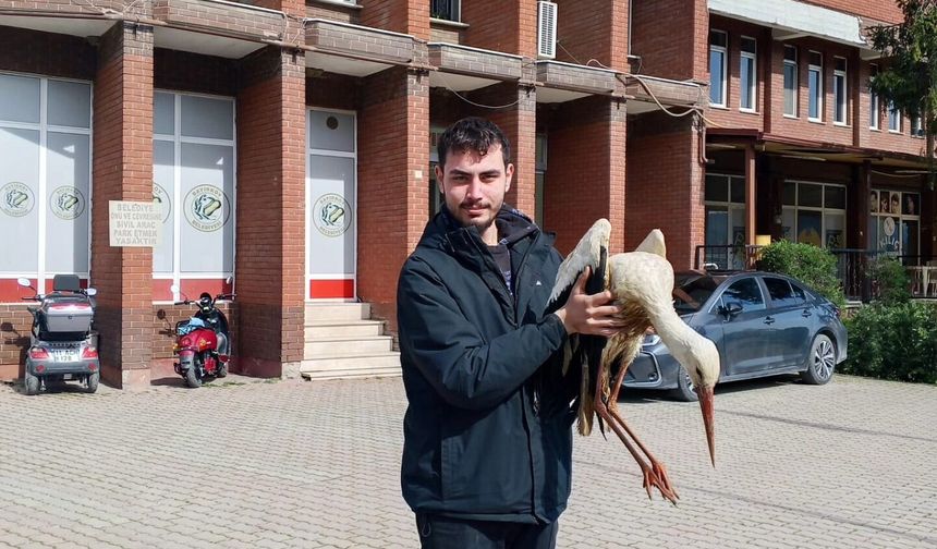 “Göç Yolundaki Leylek Kurtarıldı: Doğaya Dönüş Umudu”