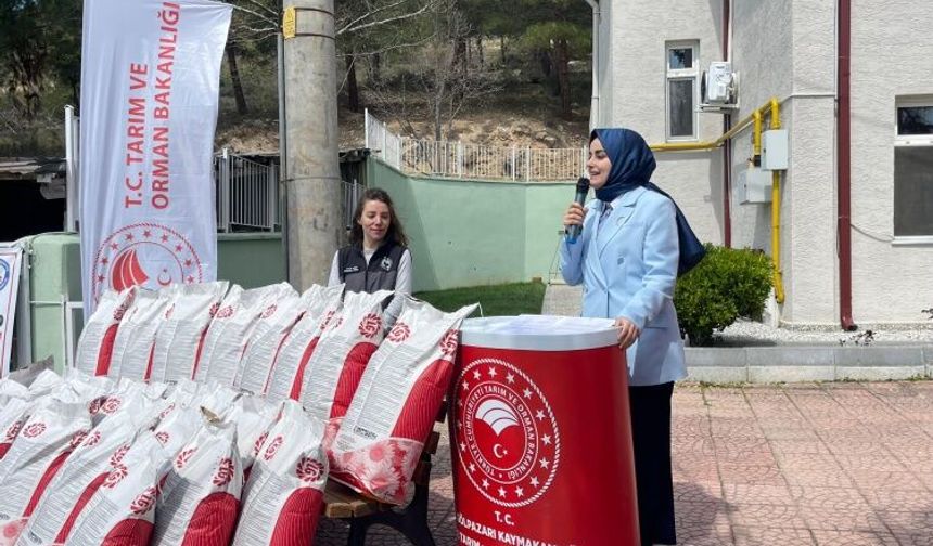 Gölpazarı’nda Üretim Hamlesi: 10 Bin Dekarı Aşan Ayçiçeği Ekimi Hedefi