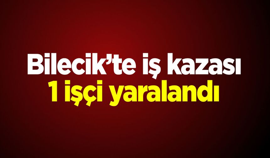 Bilecik'te iş kazası: 1 işçi yaralandı