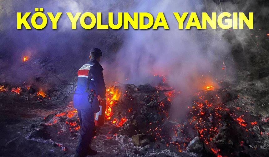 Köy yolunda yangına anında müdahale
