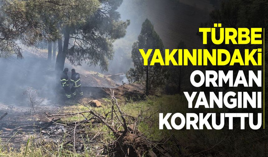 Türbe yakınındaki orman yangını korkuttu