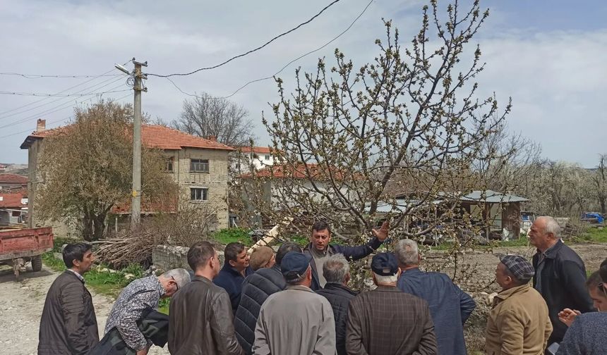 Yenipazar’da Çiftçilere Gübreleme ve Budama Eğitimi Verildi