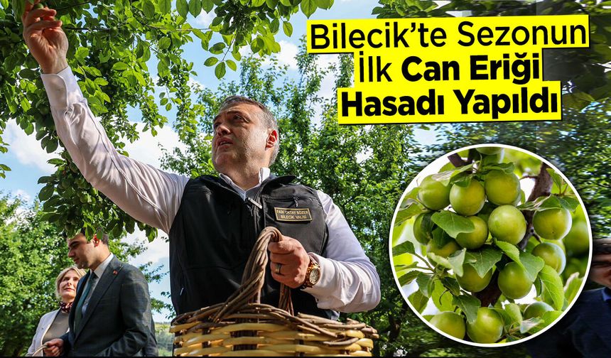 Bilecik’te Sezonun İlk Can Eriği Hasadı Yapıldı