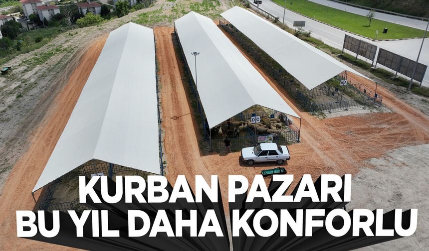 Bilecik'te Kurban Pazarı Bu Yıl Daha Konforlu