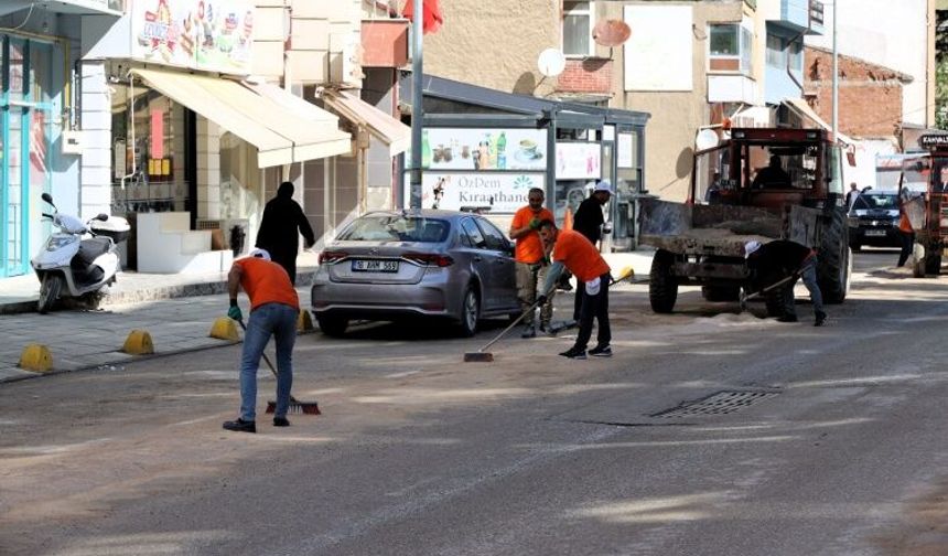 Söğüt’te Temizlik ve Peyzaj Çalışmaları Aralıksız Sürüyor