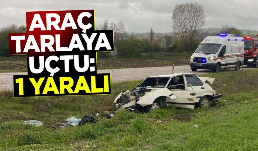Araç Tarlaya Uçtu: 1 yaralı