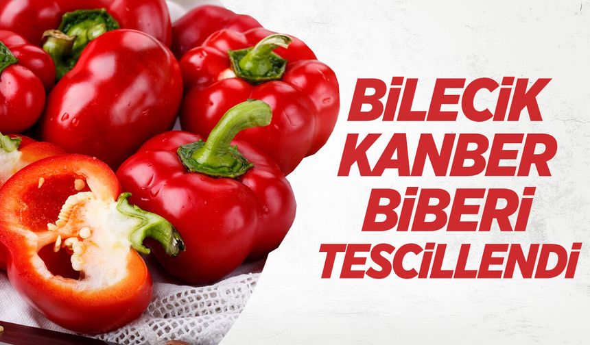 Bilecik Kanber Biberi tescillendi