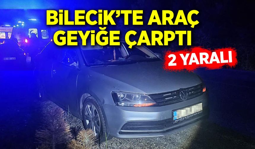 Araç geyiğe çarptı: 2 yaralı