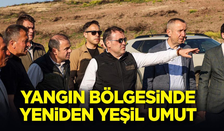 Vali Sözer Bölgede: Yangın Bölgesinde Yeniden Yeşil Umut