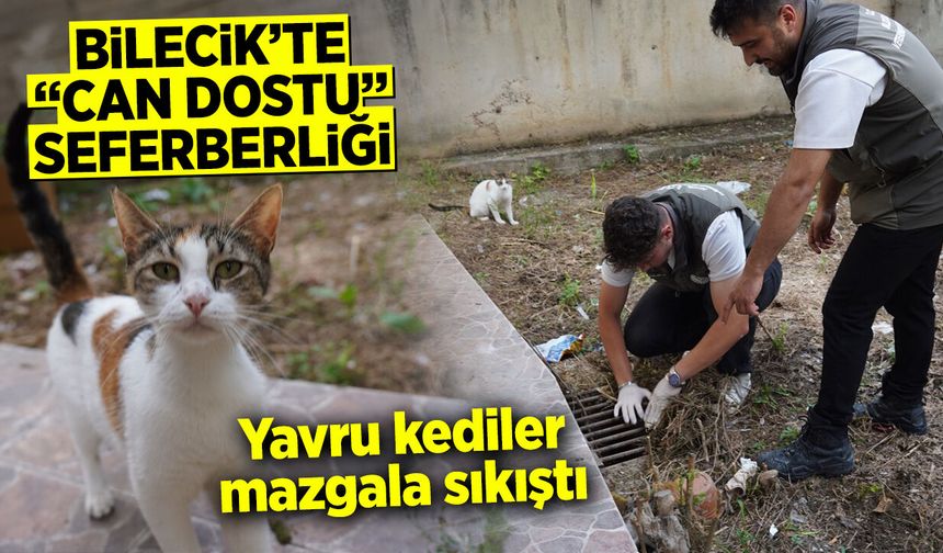 Bilecik’te “Can Dostu” Seferberliği