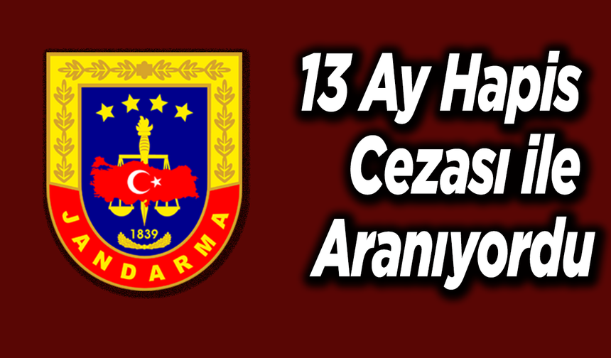 13 Ay Hapis Cezası İle Aranıyordu