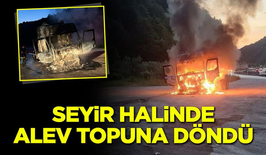 Bilecik'te Seyir Halindeki Çekici Alev Alev Yandı
