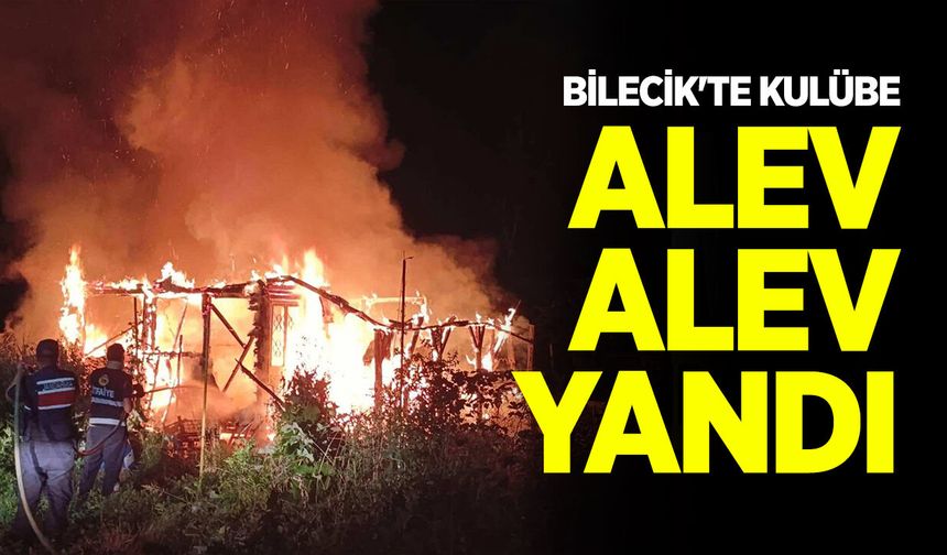 Bilecik'te kulübe alev alev yandı
