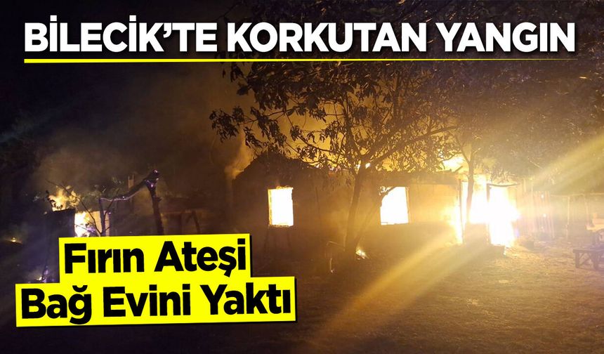 Bilecik'te korkutan yangın