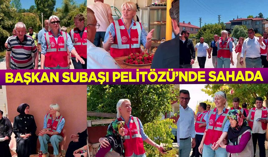 BAŞKAN SUBAŞI PELİTÖZÜ’NDE SAHADA