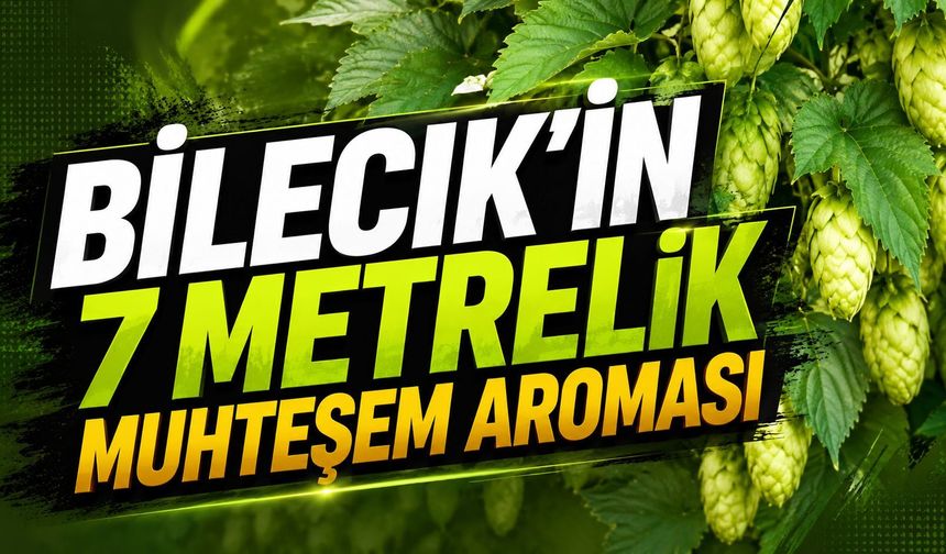 Bilecik'in 7 metrelik muhteşem aroması