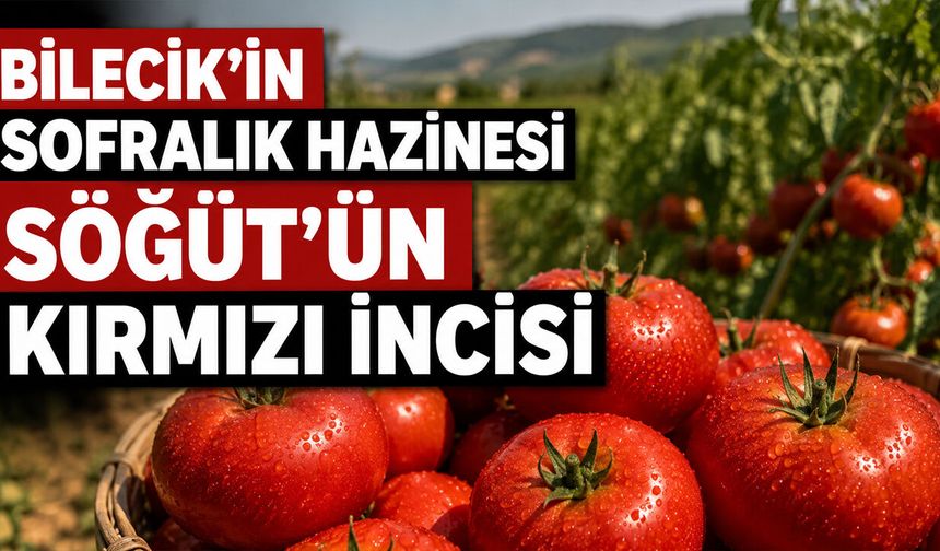 Bilecik’in Sofralık Hazinesi