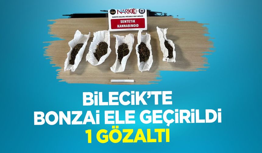 Bilecik'te Bonzai Ele Geçirildi: 1 Gözaltı