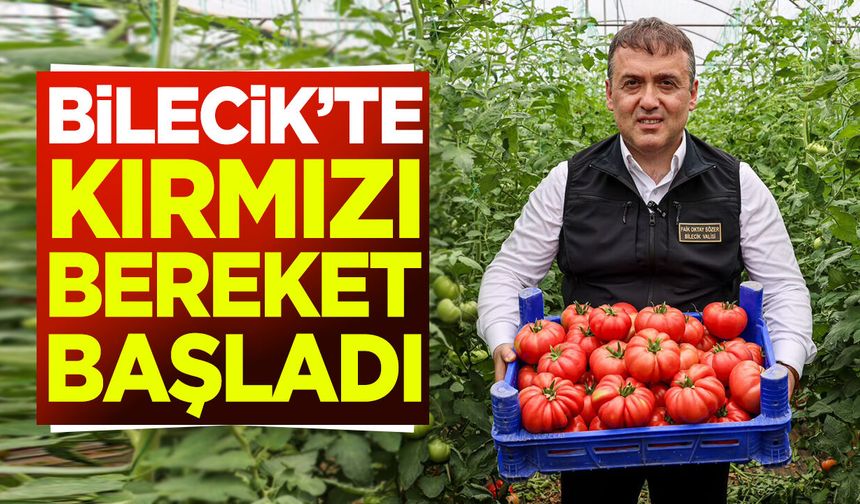 Bilecik'te kırmızı bereket başladı