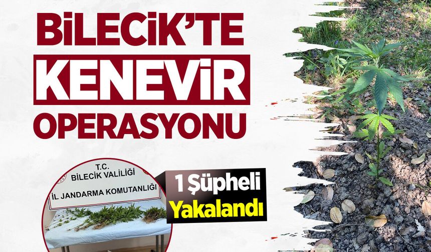 Bilecik’te Kenevir Operasyonu