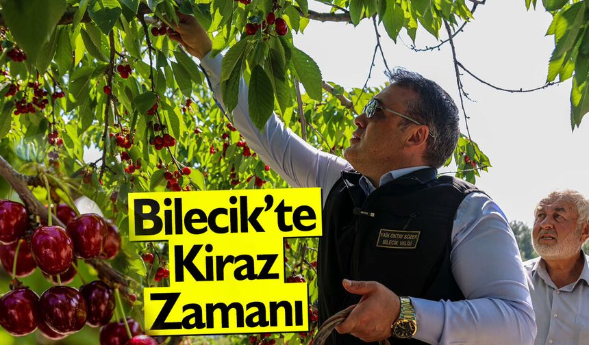 Bilecik'te Kiraz Zamanı