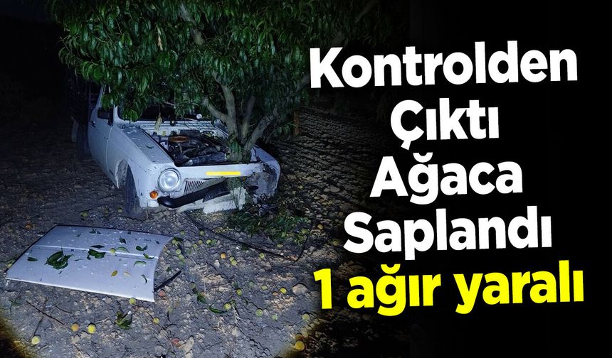 Kontrolden Çıkan Araç Ağaca Saplandı: 1 ağır yaralı