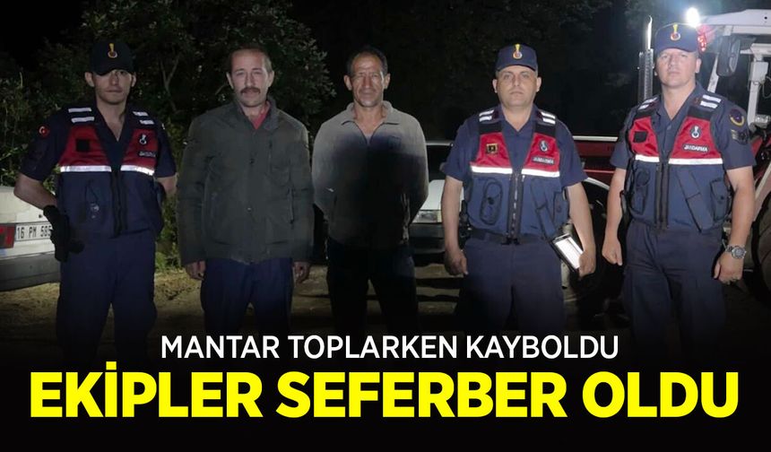 Mantar Toplarken Kayboldu, Ekipler Seferber Oldu