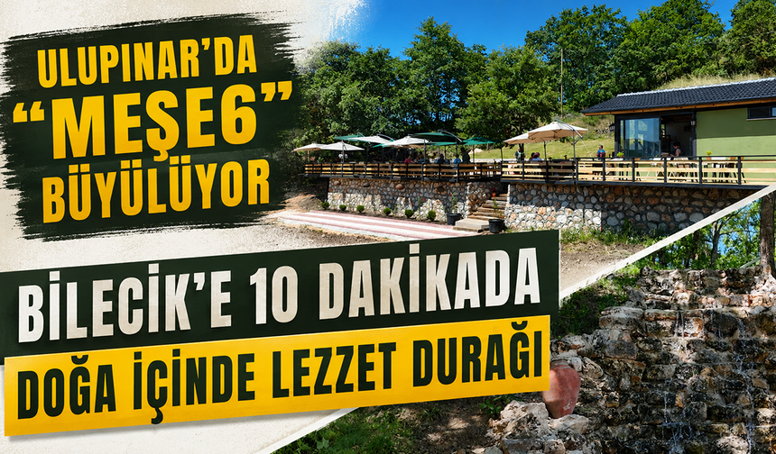 ULUPINAR’DA “MEŞE6” BÜYÜLÜYOR