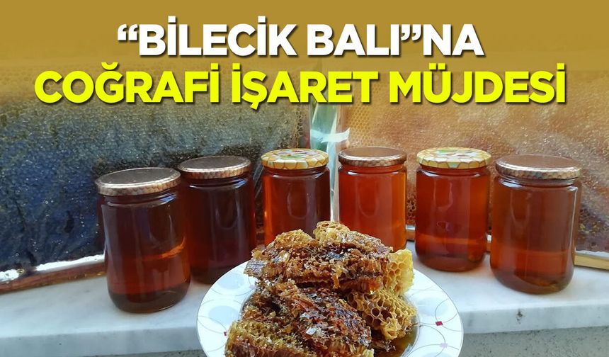 Bilecik Balı’na Coğrafi İşaret Müjdesi