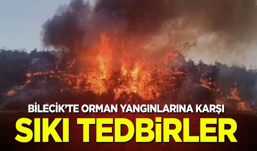 Bilecik’te Orman Yangınlarına Karşı Sıkı Tedbirler