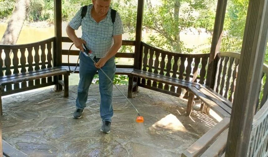 Osmaneli’de Mesire Alanlarında İlaçlama Çalışması Yapıldı