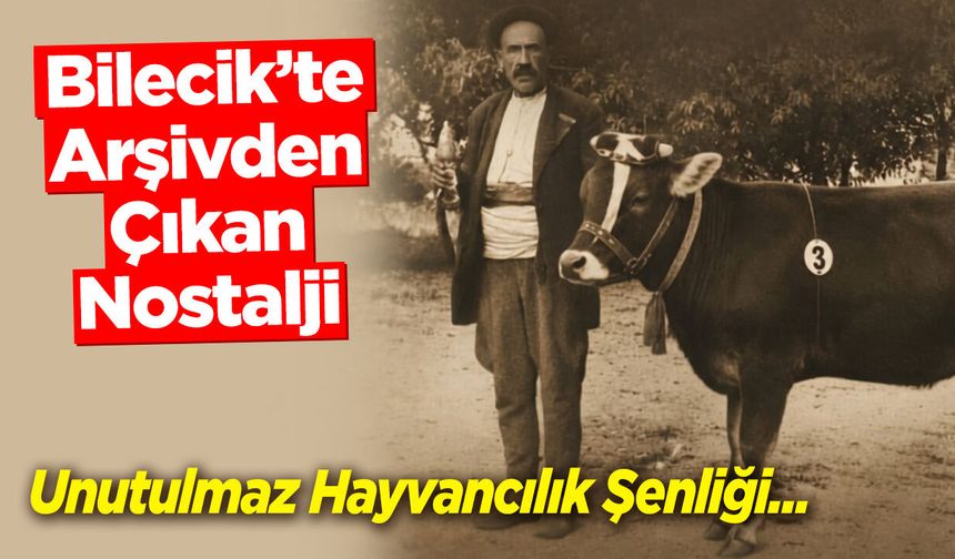 Bilecik'te Arşivden Çıkan Nostalji