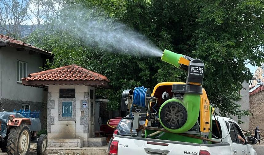 Söğüt’te Haşerelere Karşı İlaçlama Çalışmaları Başlatıldı