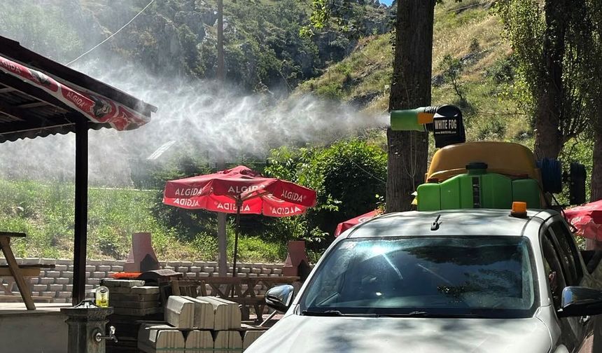 Söğüt’te Yukarı Dere Piknik Alanında Haşere ve Yılanlara Karşı İlaçlama Çalışması