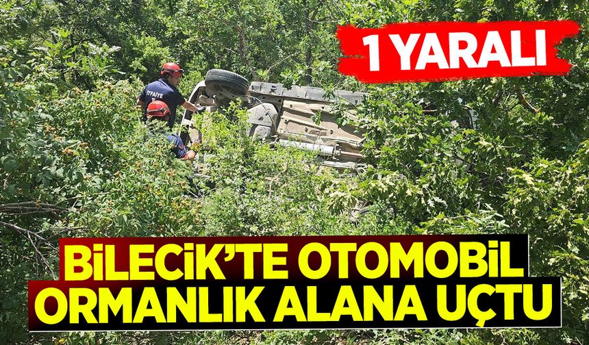 Bilecik'te Otomobil Ormanlık Alana Uçtu: 1 yaralı