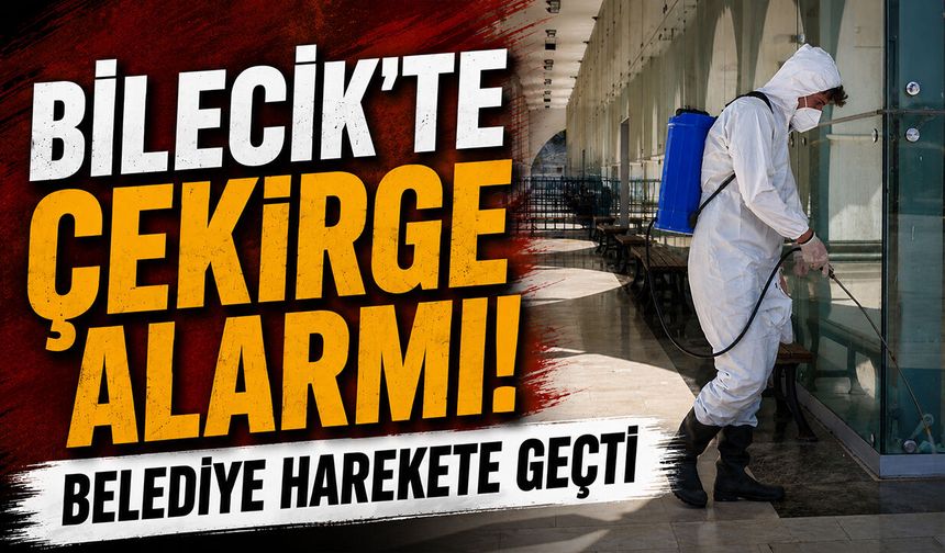 Bilecik'te Çekirge Alarmı! Belediyes Harekete Geçti
