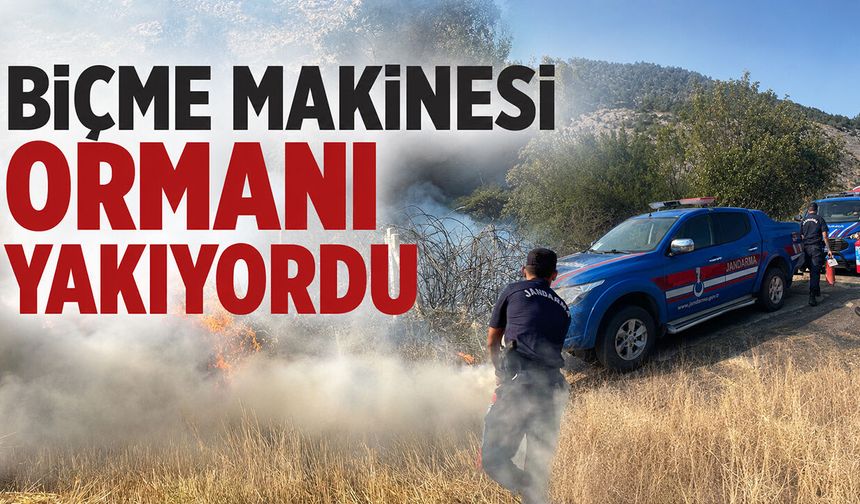 Biçme makinesi ormanı yakıyordu
