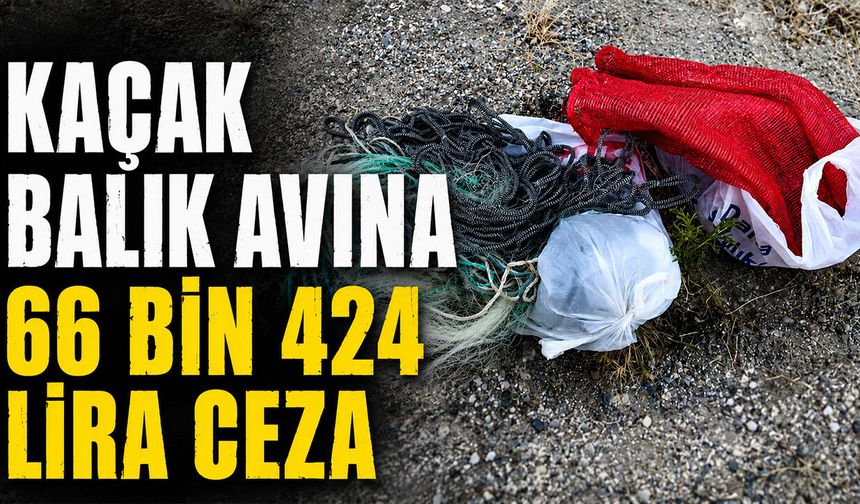 Bilecik'te Kaçak Balık Avına 66 Bin 424 Lira Ceza