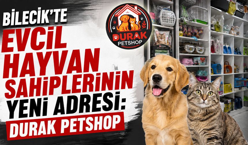 Bilecik’te Evcil Hayvan Sahiplerinin Yeni Adresi: Durak Petshop