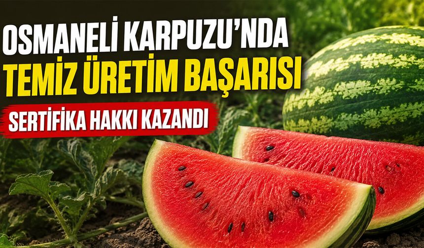 Osmaneli Karpuzu'nda Temiz Üretim Başarısı