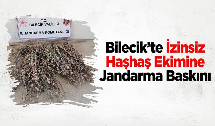Bilecik'te İzinsiz Haşhaş Ekimine Jandarma Baskını